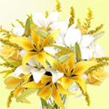 White Lily Flowers to Chennai : Send Flowers to Chennai : Flowers to Chennai