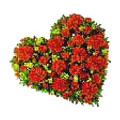 Send Valentine Flowers to Chennai